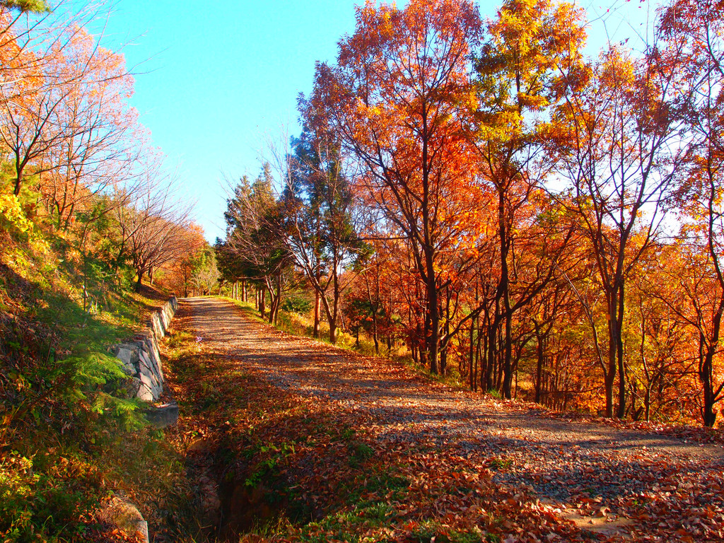  Ͽ ˱ 9ڽ ٳԽϴ18km Ÿ̺ ƴϱ ѹ̷  亻:ξúα http://blog.naver.com/makim1010  ּż հ ѹ  ּ~~~^^
